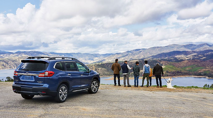 Five people and a dog with backs to camera stand in front of a blue Subaru Ascent at the edge of a cliff